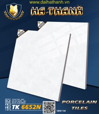 Gạch lát nền TK6652N