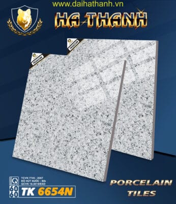 Gạch lát nền TK6654N