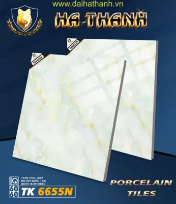 Gạch lát nền TK6655N