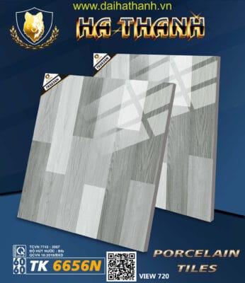 Gạch lát nền TK6656N