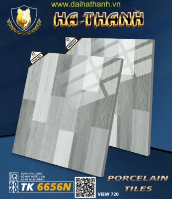 Gạch lát nền TK6656N