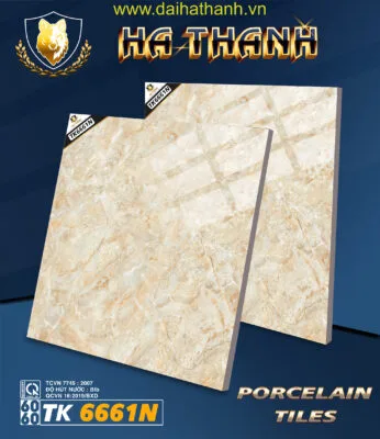 Gạch lát nền TK6661N