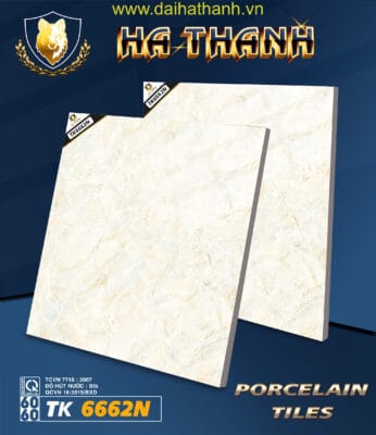 Gạch lát nền TK6662N