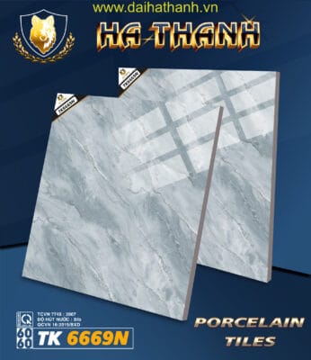 Gạch lát nền TK6669N