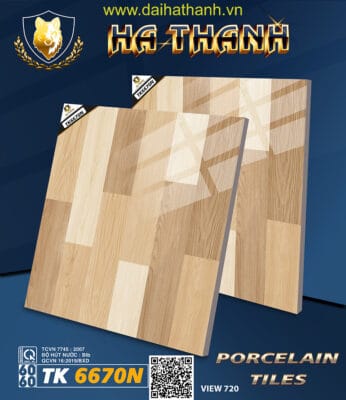 Gạch lát nền TK6670N