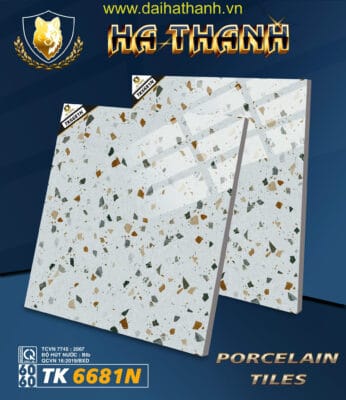 Gạch lát nền TK6681N