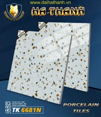 Gạch lát nền TK6681N