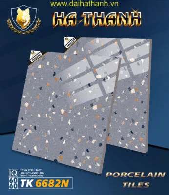 Gạch lát nền TK6682N