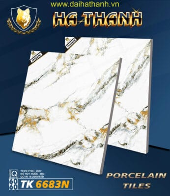 Gạch lát nền TK6683N