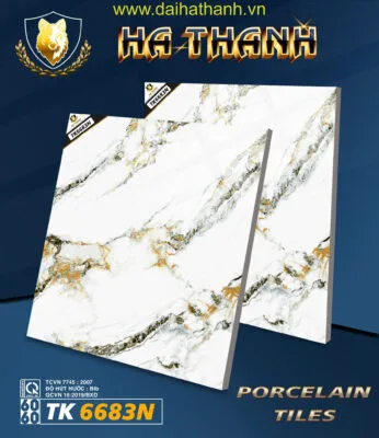 Gạch lát nền TK6683N