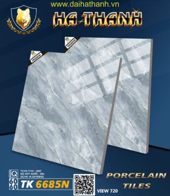 Gạch lát nền TK6685N