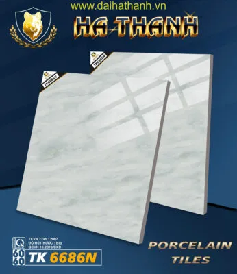 Gạch lát nền TK6686N