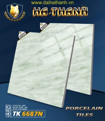 Gạch lát nền TK6687N