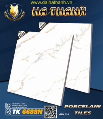 Gạch lát nền TK6688N