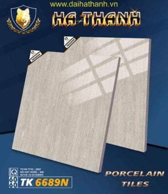 Gạch lát nền TK6689N