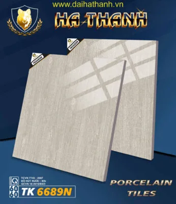 Gạch lát nền TK6689N