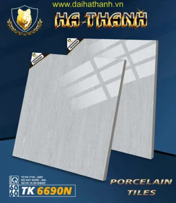 Gạch lát nền TK6690N