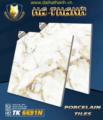 Gạch lát nền TK6691N