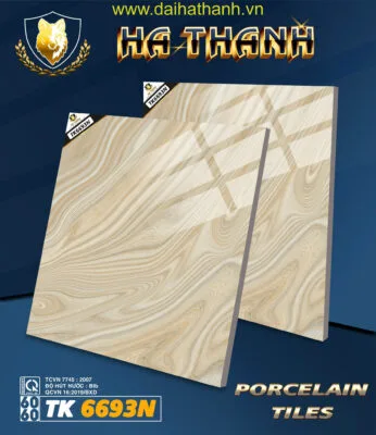 Gạch lát nền TK6693N