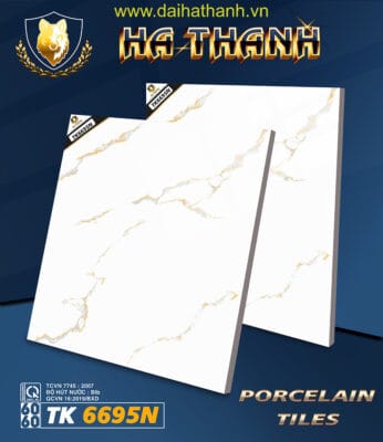 Gạch lát nền TK6695N