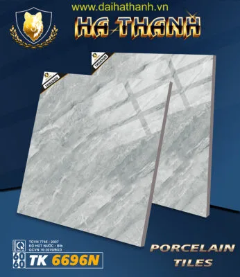 Gạch lát nền TK6696N
