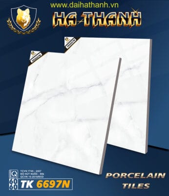 Gạch lát nền TK6697N