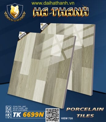 Gạch lát nền TK6699N