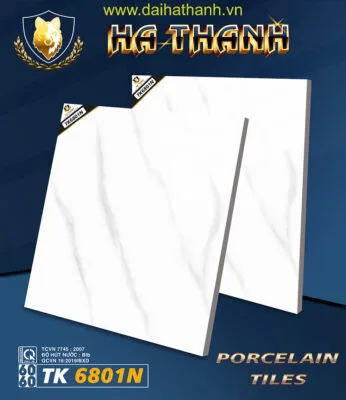 Gạch lát nền TK6801N