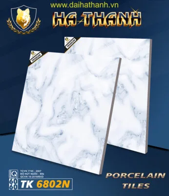 Gạch lát nền TK6802N