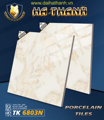 Gạch lát nền TK6803N
