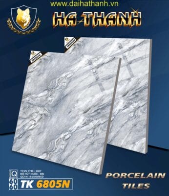 Gạch lát nền TK6805N