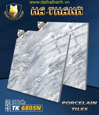 Gạch lát nền TK6805N