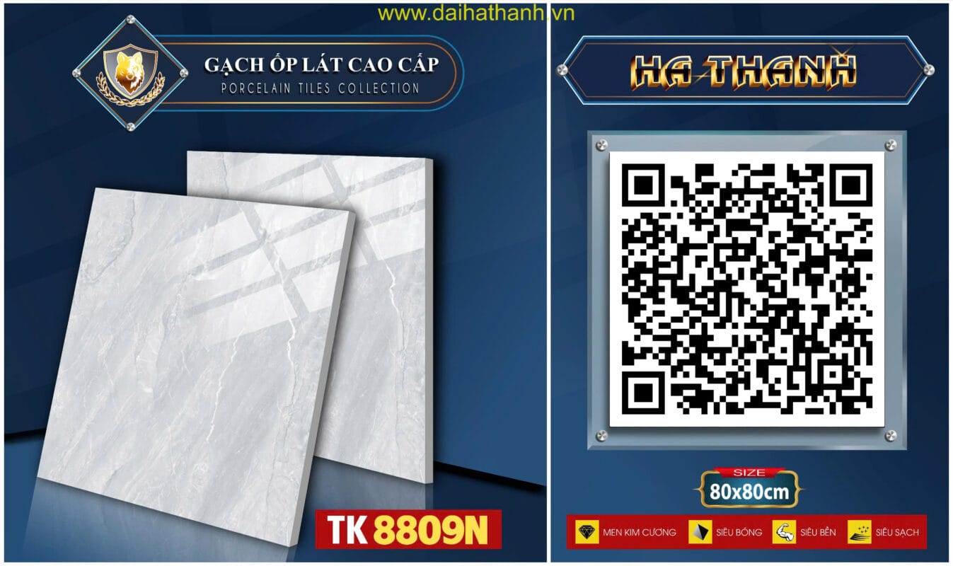 Gạch lát nền TK8809N