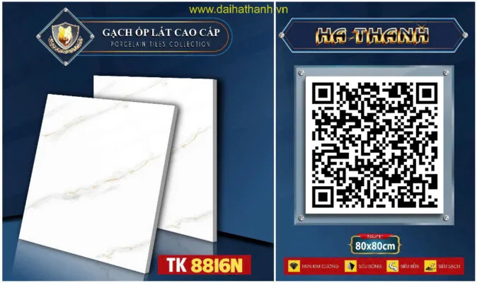 Gạch lát nền TK8816N