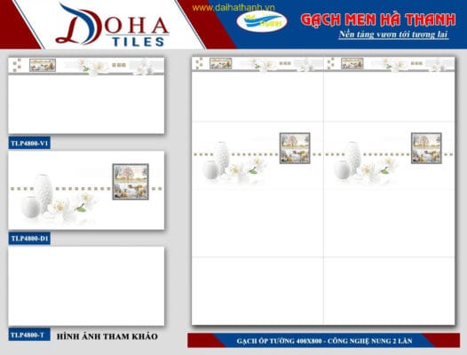 Gạch ốp tường TLP DH4800V1