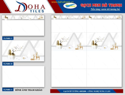 Gạch ốp tường TLP DH4801