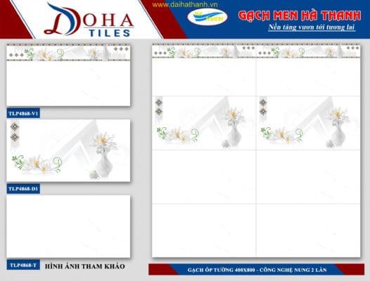 Gạch ốp tường TLP DH4868V1