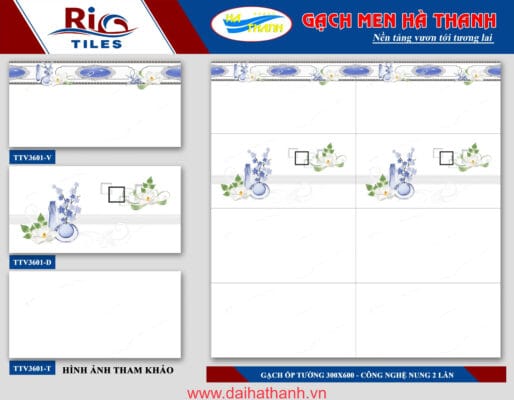 Gạch ốp tường TTV3601