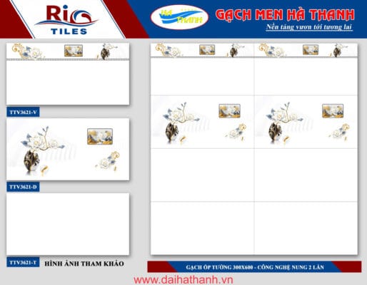 Gạch ốp tường TTV3621