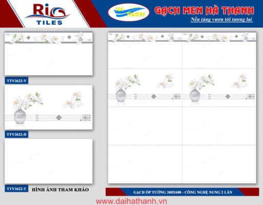 Gạch ốp tường TTV3622