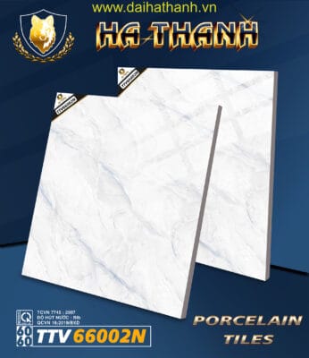 Gạch lát nền TTV66002N