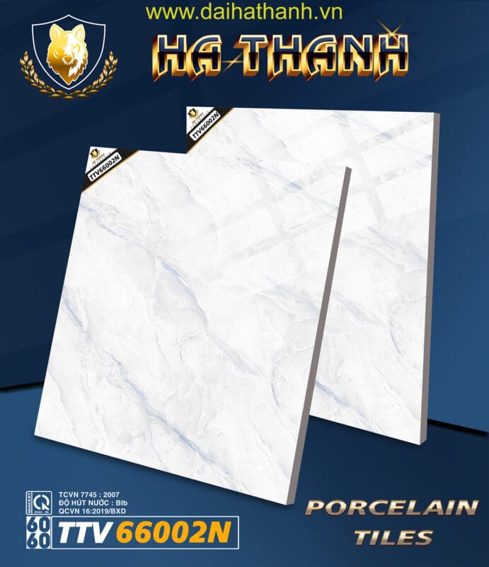 Gạch lát nền TTV66002N