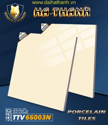 Gạch lát nền TTV66003N