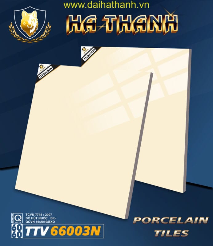 Gạch lát nền TTV66003N