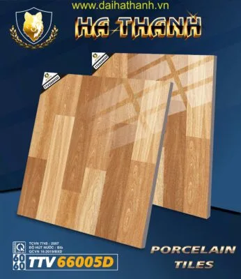 Gạch lát nền TTV66005D