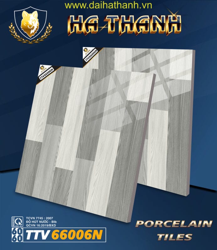 Gạch lát nền TTV66006N
