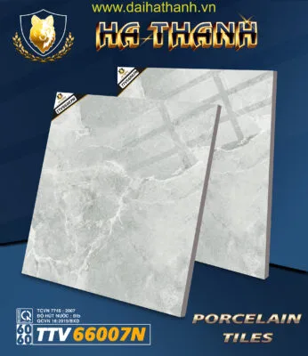 Gạch lát nền TTV66007N