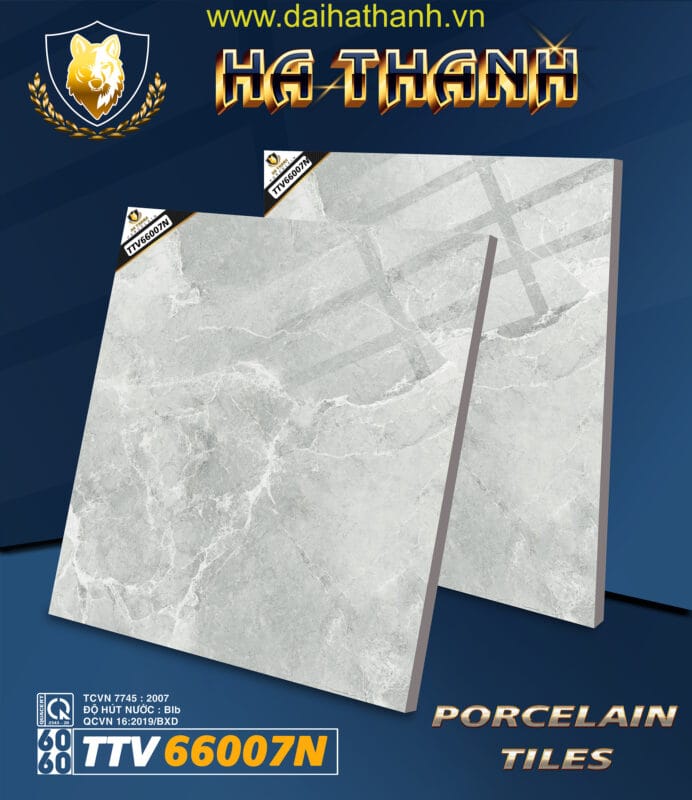 Gạch lát nền TTV66007N