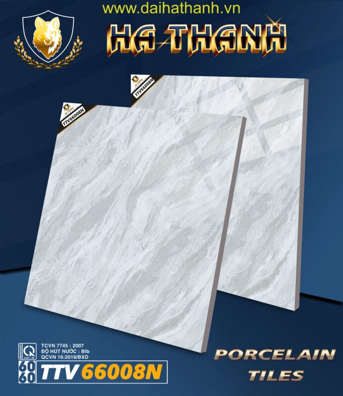 Gạch lát nền TTV66008N
