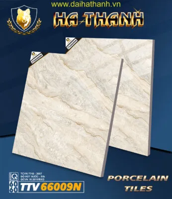 Gạch lát nền TTV66009N